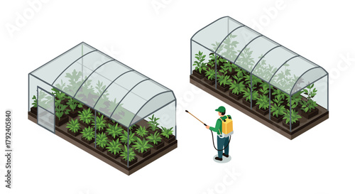 Isometric greenhouse with farmer spraying plants for sustainable agriculture