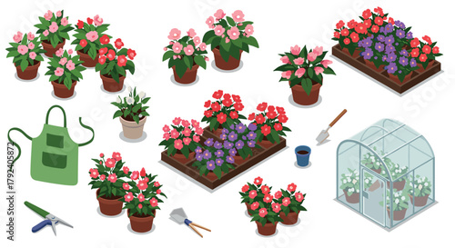 Colorful garden setup with flowering plants and gardening tools