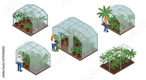 Isometric greenhouse gardening plants, people, and modern horticulture designs