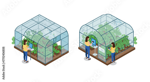 Smart greenhouse technology woman using tablet for efficient indoor farming solutions