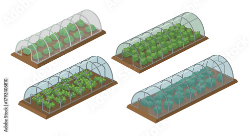 Isometric greenhouse gardens with different vegetables and plants for sustainable farming