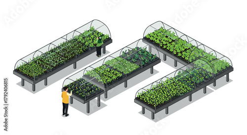 Isometric greenhouse interior with people tending plants and vegetables on elevated tables