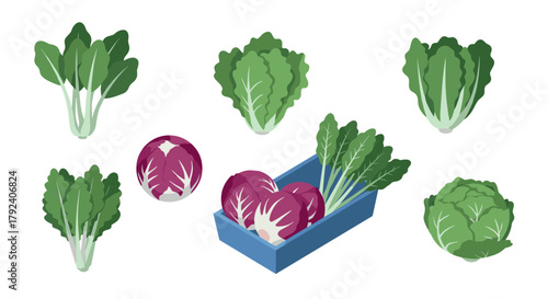 Colorful array of fresh vegetables in flat design