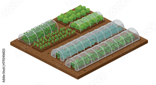 Isometric vegetable garden with greenhouses and plants on a raised bed