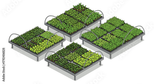 Isometric urban farming greenhouse raised beds with lush vegetables and herbs