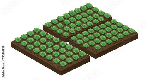 Isometric lush vegetable garden with green crops on soil patches