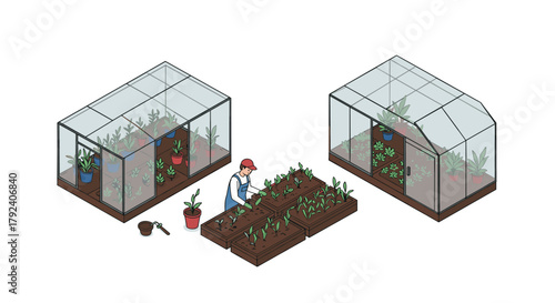 Isometric greenhouse gardening planting and growing in glass structures