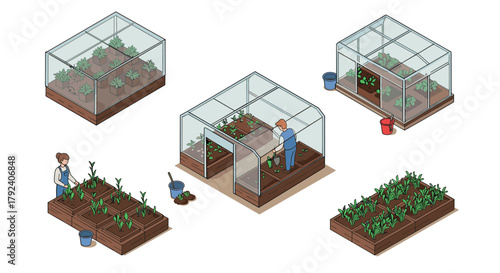 Isometric urban gardening with greenhouse and raised beds