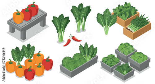 Isometric vegetable display featuring peppers and greens for market design