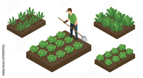 Isometric gardening concept with farmer tending to vegetables in raised garden beds