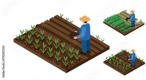 Isometric farming scene with farmer planting crops on agricultural fields