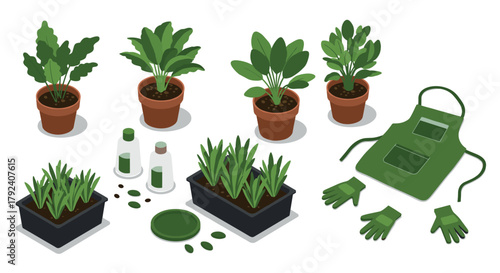 Gardening tools and herb plants in pots with apron and gloves in isometric style