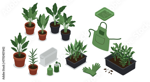 Isometric indoor gardening essentials with plants, pots, and tools