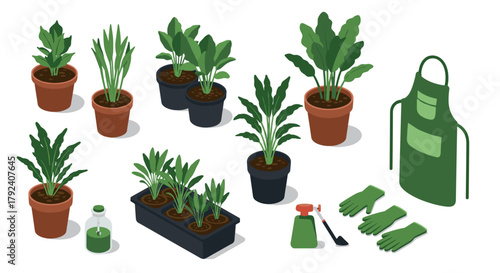 Isometric gardening kit with potted plants, tools, and accessories for home garden enthusiasts