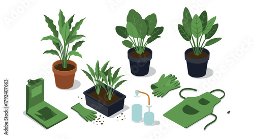 Isometric garden tools and potted plants set for home gardening projects