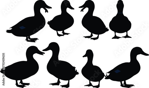 Duck silhouette collection, multiple bird poses, aquatic wildlife illustration set, minimalist vector art, nature design elements, creative animal graphics, waterfowl icons
