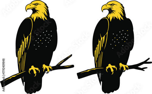 Eagle perched on branch silhouette, powerful bird of prey, wildlife raptor illustration, golden eagle vector art, nature animal design decorative graphic