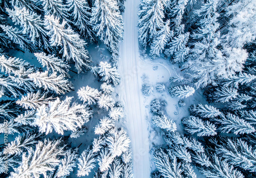 Winter landscape aerial view, snowy forest and frozen scenery