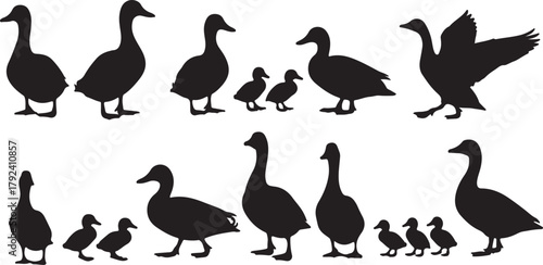 Collection of Black Duck and Duckling Silhouettes on White Background