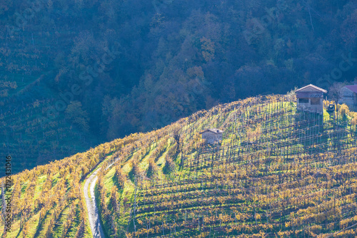 Prosecco Hills