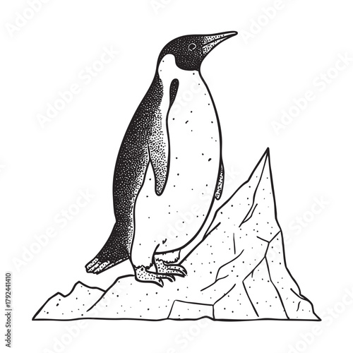 Detailed sketch of a penguin standing on an ice chunk.