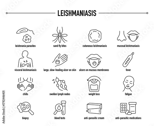 Leishmaniasis symptoms, diagnostic and treatment vector icon set. Line editable medical icons.