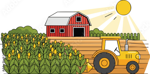 Yellow Tractor Harvesting Corn Field Near Red Barn Under Bright Sun on a Farm