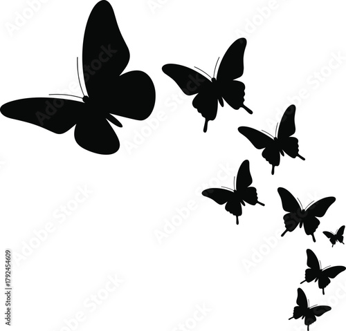 Butterfly silhouettes, flying motion, ascending pattern, black shapes, nature illustration, insect design, graceful flight, silhouette art, wildlife vector, decorative composition