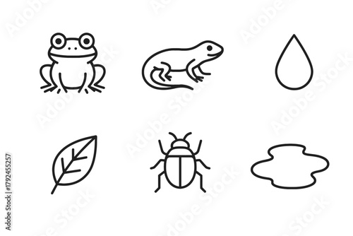 Minimalist nature icons: frog, lizard, water, leaf, beetle, puddle