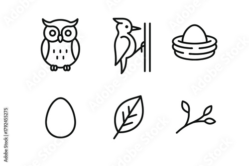 Simple line drawings of owl, woodpecker, nest, egg, leaf, and twig