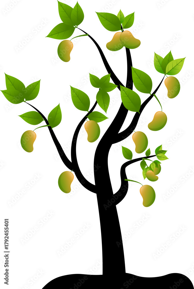 Obraz premium Mango Tree with Fruits Silhouette