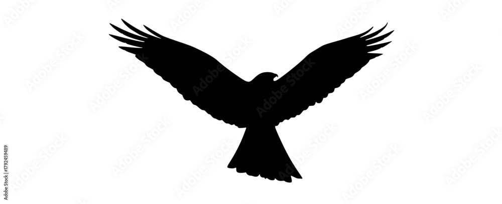 Obraz premium a black silhouette of an eagle in flightbird, black, crow, eagle, flight, fly, profile, raven, sky, spread, wing 