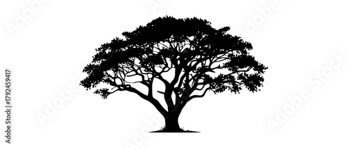 a large silhouette of a tree on a plain transparent backgroundblack, illustration, profile, tree 