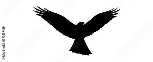 a black silhouette of an eagle in flightbird, black, crow, eagle, flight, fly, profile, raven, sky, spread, wing 