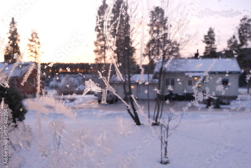 Wallpaper Mural Art by frost, Christmas window in a cold winter day	 Torontodigital.ca