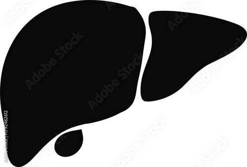 Black Silhouette Icon of Human Liver Organ Keywords: liver, organ, human, anatomy, medical