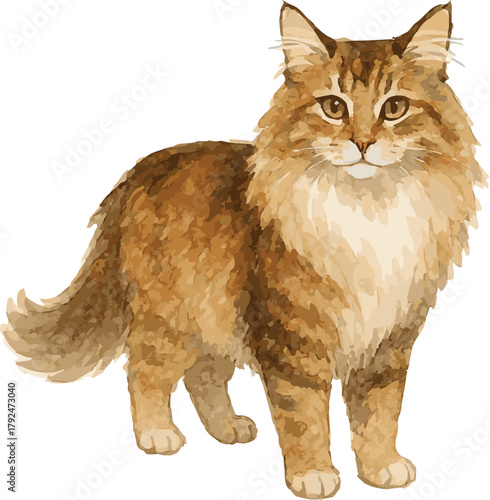 Vector watercolor adorable illustration of a Norwegian Forest Cat standing