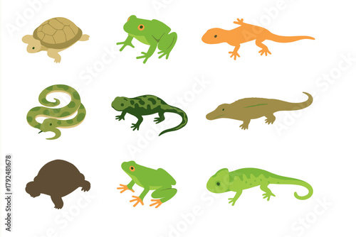 Diverse collection of common reptiles and amphibians including turtles, frogs, snakes, and lizards