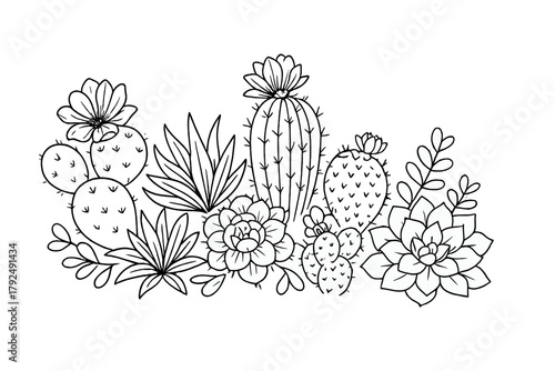 Black and white outline arrangement of various desert cacti and flowering succulent plants