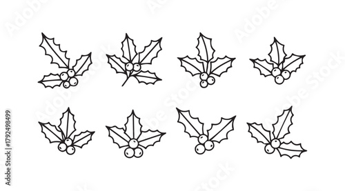 Collection of eight hand drawn holly leaf and berry silhouettes for christmas and winter design