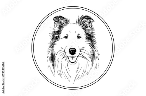 a black and white drawing of a shetland sheep dog in a circleBorder collie, black, circle, dog, head, illustration, image, logo, oval, portrait, sheepdog, white 