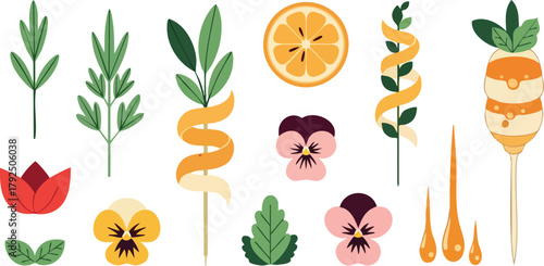 Collection Of Decorative Elements For Cocktails Including Orange Slices Pansies Herbs and Tulip