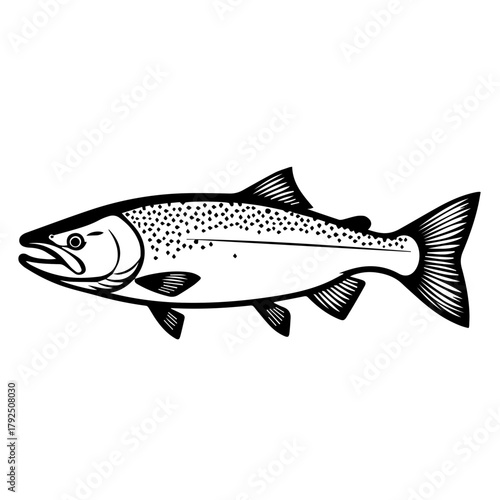 Detailed illustration of a trout fish in black and white style  