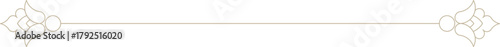 Indian Minimalistic Floral Motif text divider	
