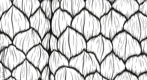 Detailed Hand Drawn Dragon Scales Pattern Black and White.