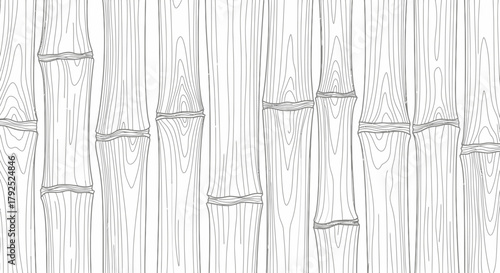Bamboo Stalks: A Detailed Line Art Illustration.