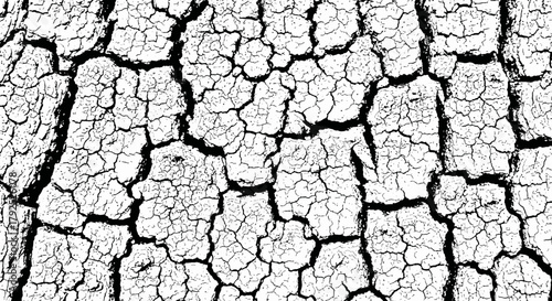 Close-up of Cracked Tree Bark Texture Pattern.