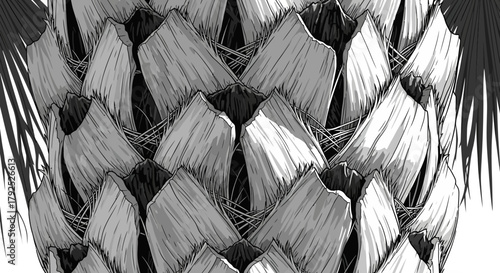 Close-up of Palm Tree Trunk Texture.