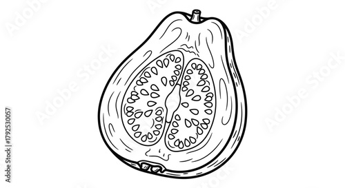 Hand drawn illustration of a guava fruit cut in half showing seeds.