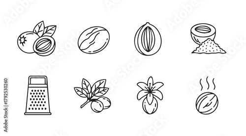 Collection of nutmeg and spice illustrations in a simple line art silhouette style